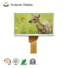 dvd gps resolution 800*480 7 "RGB interface can be equipped with touch screen LCD module