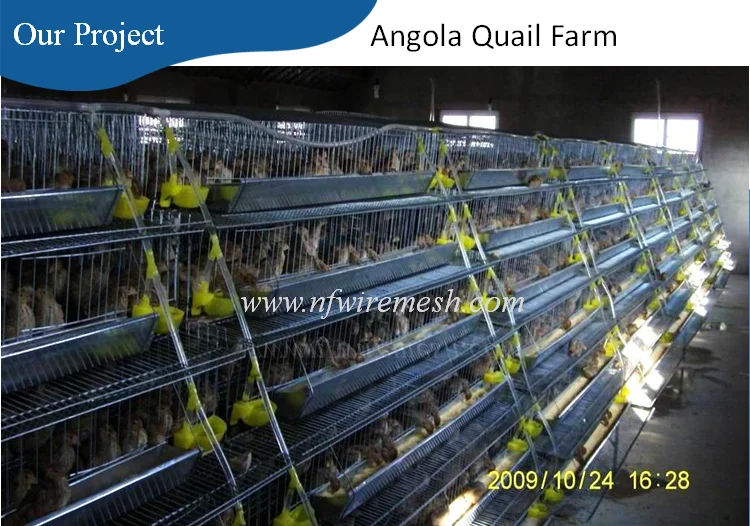 Design 6 Layers Plastic Quail Cage For Sale (guangzhou Factory ) Buy