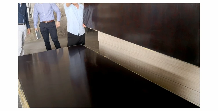 shuttering plywood price