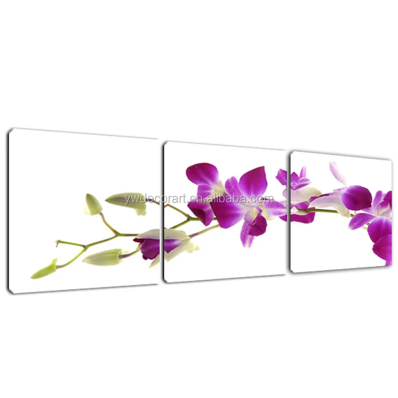 Lila Orchidee Digitale Leinwand Drucken 3 Teile Satz Moderne Stil Gunstige Blume Bilder Wand Kunst Dekorative Buy Digitale Leinwand Druck Orchidee Blume Wand Kunst Orchidee Digitale Leinwand Product On Alibaba Com