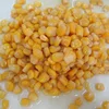 Nice quality of China brine canned sweet corn