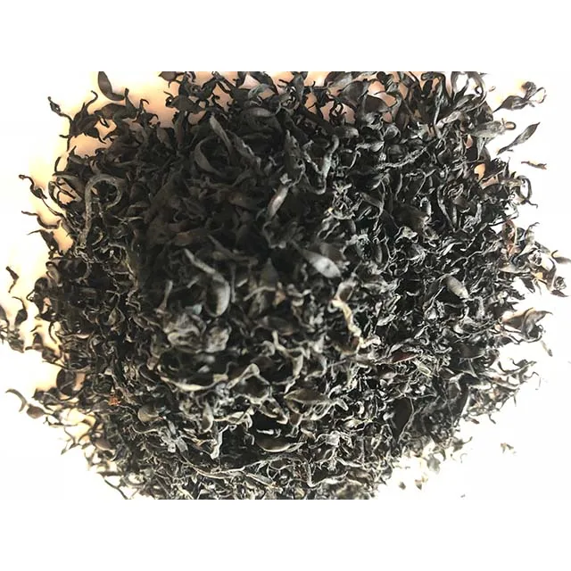 Hijiki algae (5).jpg