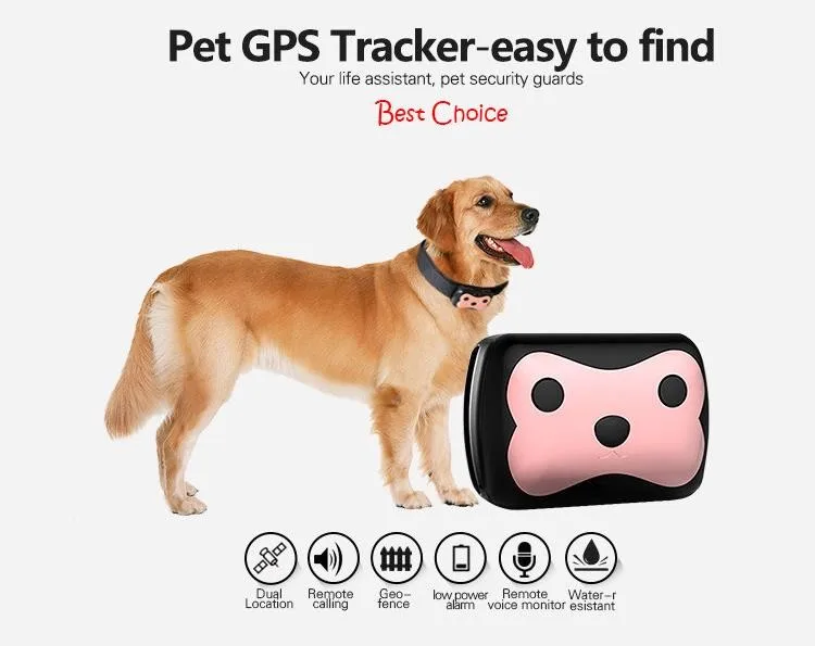 track your dog microchip app