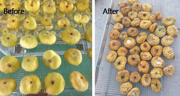 figs drying machine