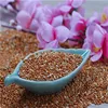 100% natural high quality red glutinous broomcorn millet / red panicum millet /foxtail millet Wholesale