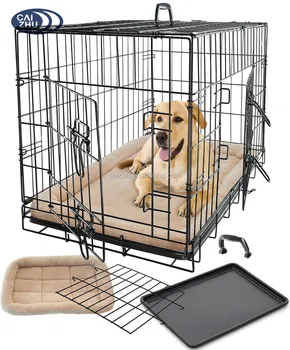 springer spaniel running