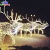 Outdoor 3d motif angle light christmas 3d decoration landscape light