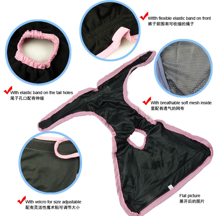 Washable Reusable Pet Pants Female Dog Training Pants Buy Dog Training Pants,Dog Pants,Pet