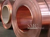 /product-detail/becu-c172-beryllium-copper-strip-copper-beryllium-strip-60071115809.html
