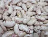 how to prepare canned beans