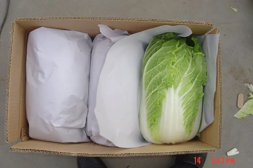 chinese cabbage.jpg