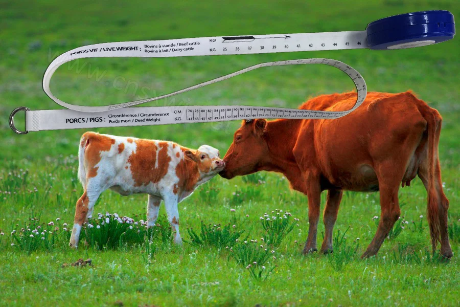 Wj515 Pig Cow Measuring Tape,Animal Weight Measuring Tape Buy Cow