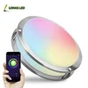 LOHAS LED Smart Ceiling Light 15W Multicolored LED Ceiling Light Smart Downlight Compatible With Alexa/Google Home