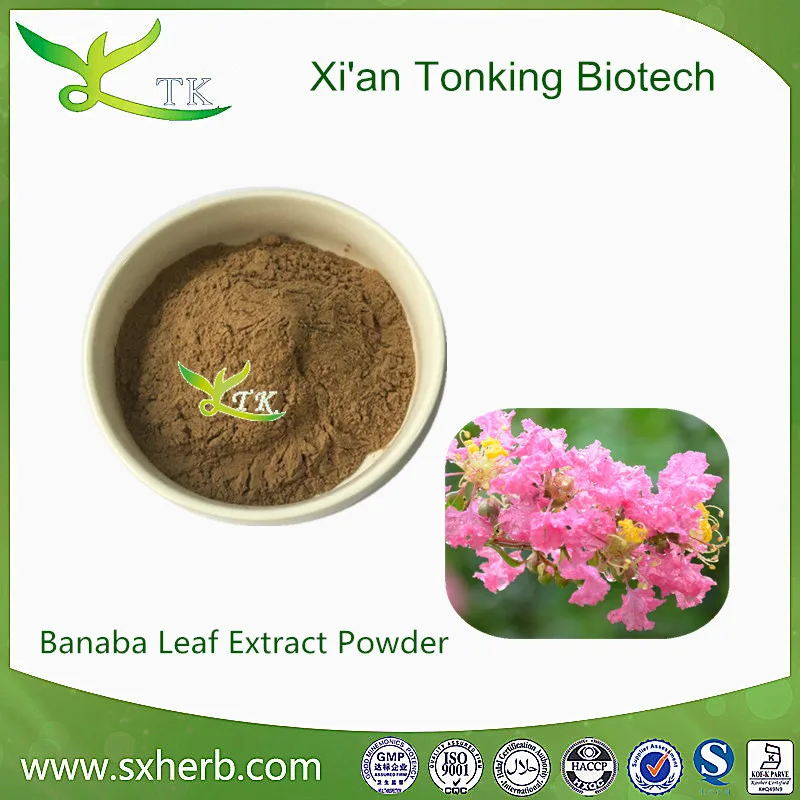 Natural Banaba Leaf Extract Banaba Tea - Buy Banaba Tea Product on ...
