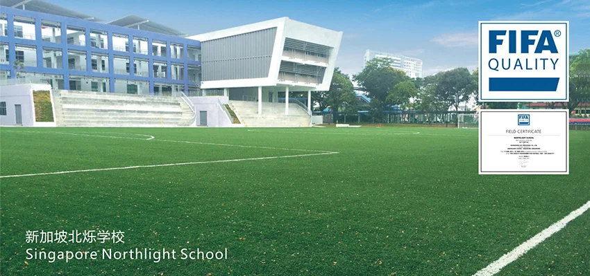 Singapore Northlight.jpg