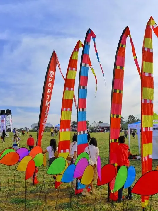 Kite Banner Beach Flag Bunting Windsurfing Flag Buy Kite Banner