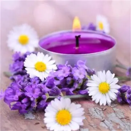 Lavender Home Decorative Fragrances Purple Color Tealight Candle Holder