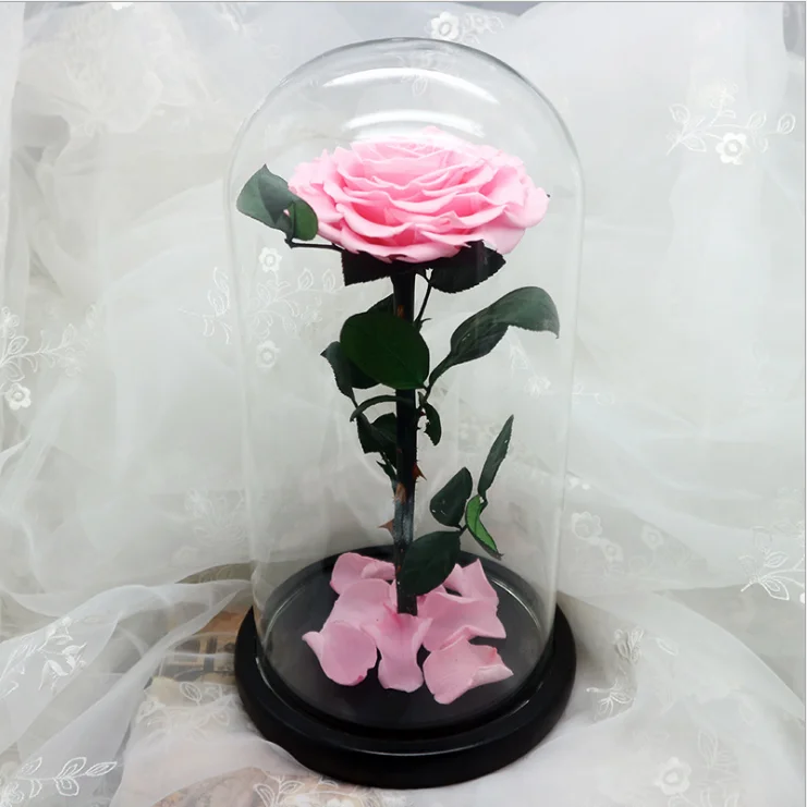 Wholesale Forever Roses In Glass Dome Preserved Roses Flowers From