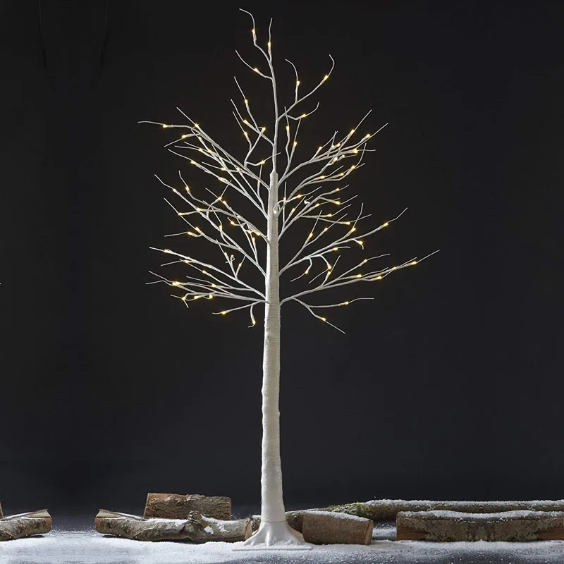 5m silver birch tree
