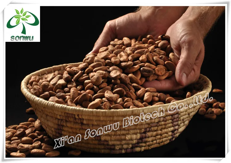 natural food grade pigment cacao pigment/cacao color