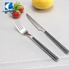 New design ABS handle fruit knife and fork flatware set, cutlery