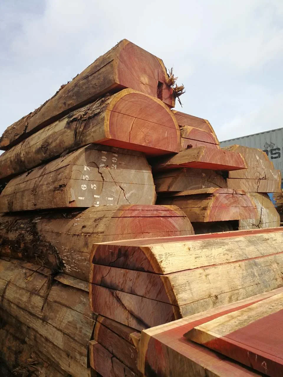 非洲padauk 木材 (seriocarpus) 现货直接从 liberville 加蓬出口