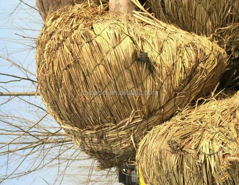 Metal Rootball Net/tree Wire Mesh Basket Buy Rootball Net,Tree