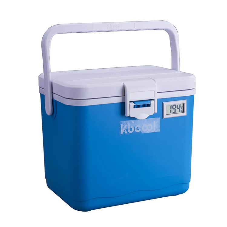 4.5l Mini Ice Cooler Box Small Plastic Pp Eps Insulated Cooling Box 