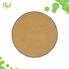 Factory Supply Top Quality Barley Malt Powder