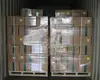 Dibenzoyl peroxide 50% BPO 94-36-0