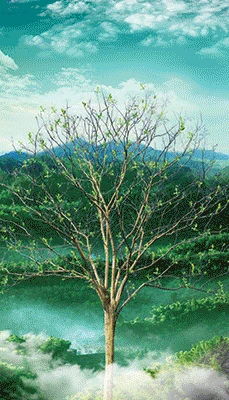 06-4 Flip Effect.jpg