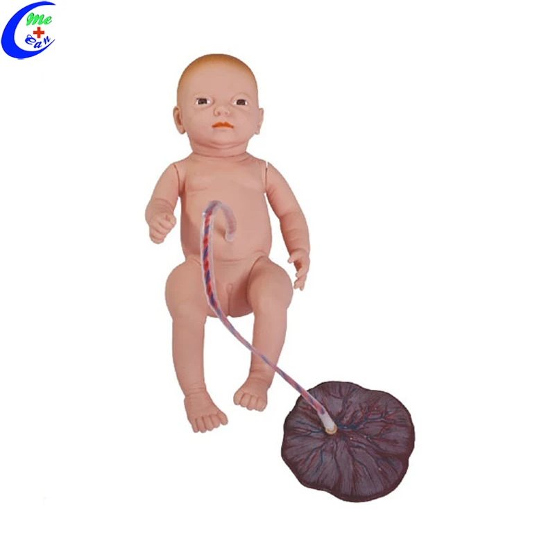 medical dolls for teaching.jpg