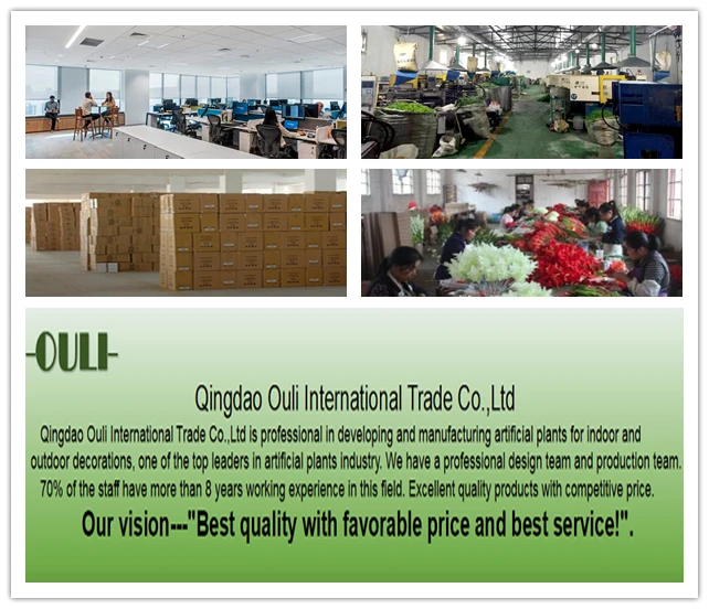 company information1.jpg