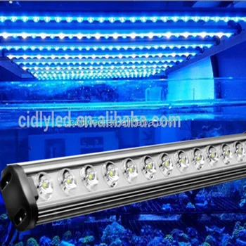 60w Waterdichte Led Aquarium Verlichting 48 Inch Voor Koraalrif ... 60w Waterdichte Led Aquarium Verlichting 48 Inch Voor Koraalrif ...