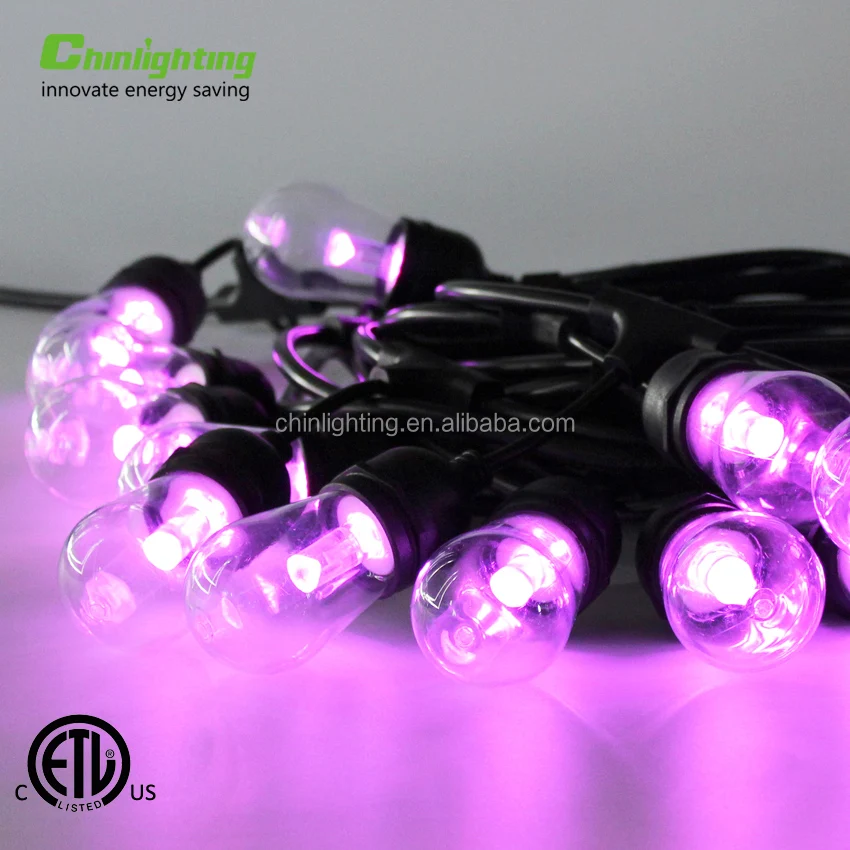 Rgbw S14 Outdoor Led String Light With Rf Remote Controller Buy