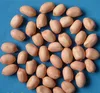 hot sale Red skin peanuts 24/28 28/32 40/50 50/60