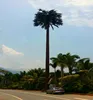 camouflaged concealment bionic communication palm tree steel telecom tree like tower