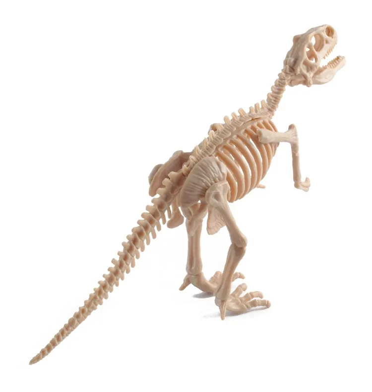 Education Plastic Mini Dinosaur Fossils Toys With Noctilucent Buy