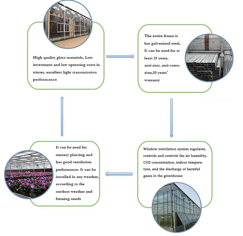 Tinted Float Glass Greenhouse
