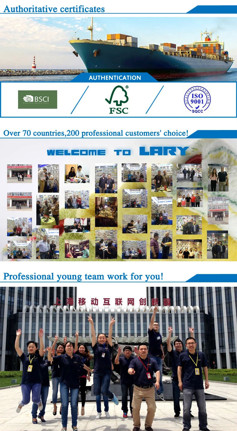 LARY TO8900 Stainless Steel Plastic Handle Professional Paint Scraper