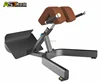 Life Fitness Gym Equipment /Back Extension with 3.0mm steel tube / Body Solid/ASJ S830
