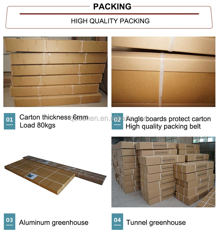 greenhouse packing 750.jpg