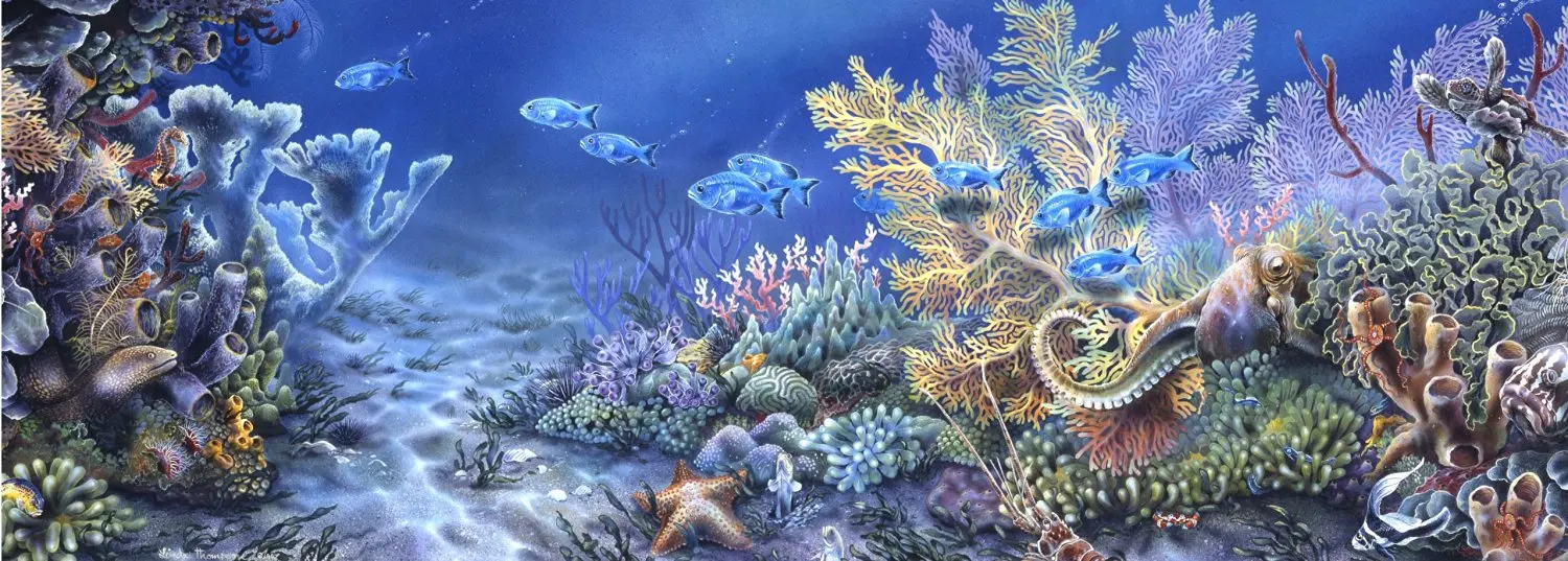 Andrews + Blaine Coral Reef Panoramic Puzzle, 1000-Piece. 