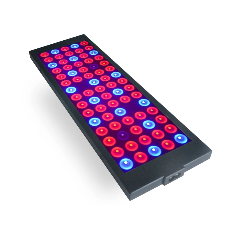 Full Spectrum Red Blue UV IR 40W LED Indoor LED Plant Grow Light For Greenhouse and Tent
