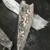 Frozen HGT swordfish price