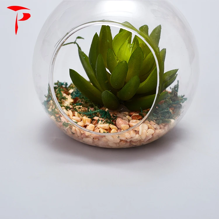 Handblown Hanging Terrarium Glass Clear Glass Terrarium Globe Wholesale Buy Glass Terrarium
