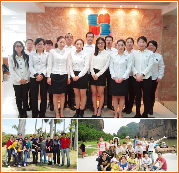 The 24V lithium battery folding electric bike 2017