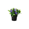 Small black Daisy potted Japanese simulation flowers small bonsai set decoration accessories European and American dollar store