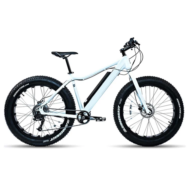 electric fat tire mountain bike