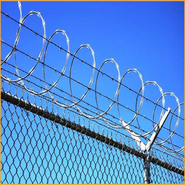 razor wire band